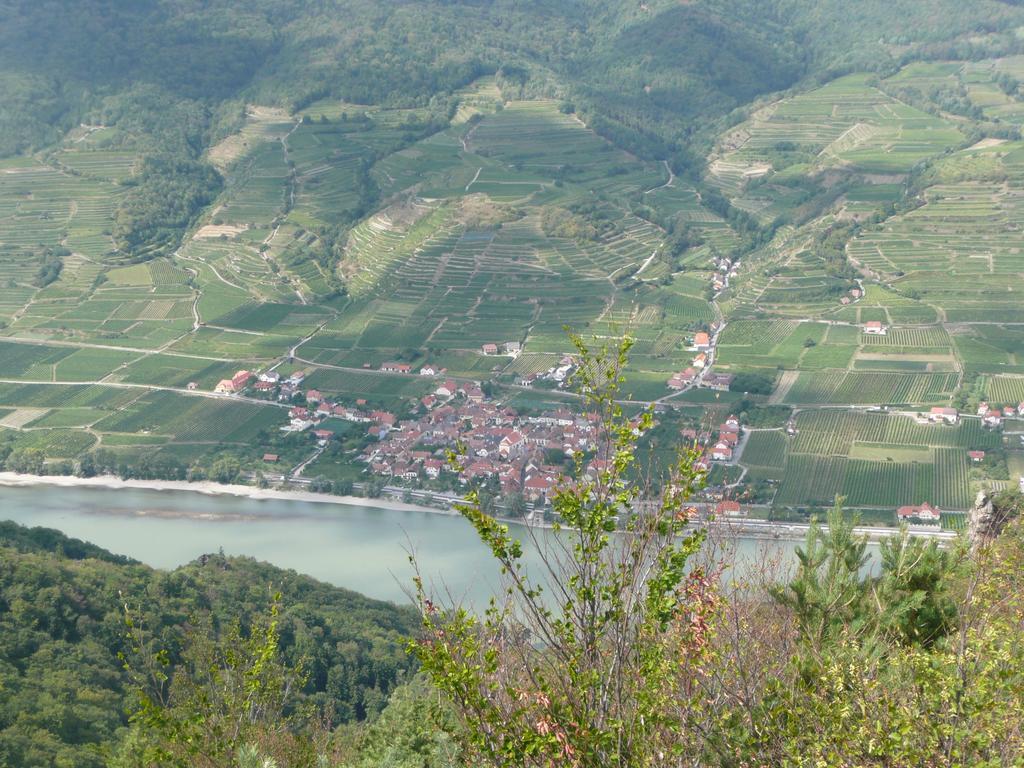 Weingut Langmayer Wösendorf Kültér fotó