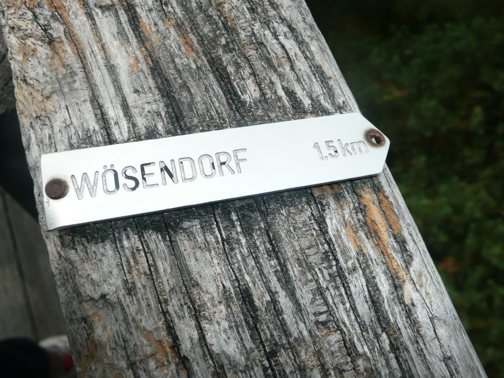 Weingut Langmayer Wösendorf Kültér fotó