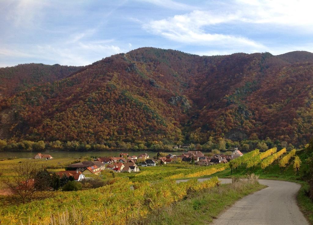 Weingut Langmayer Wösendorf Kültér fotó