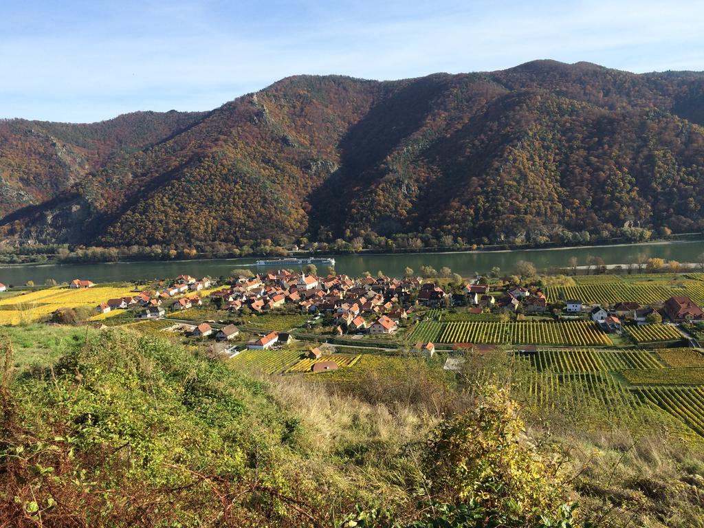 Weingut Langmayer Wösendorf Kültér fotó